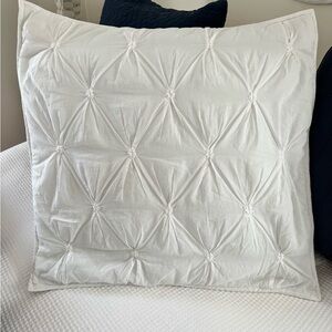 EUC POTTERY BARN S/2 Euro Sham